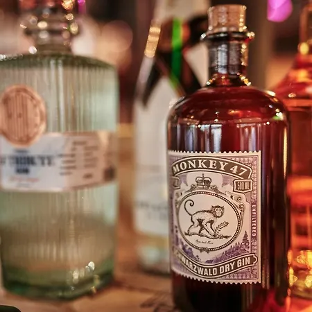 イン Berglift Direkt An Der Talstation 3*